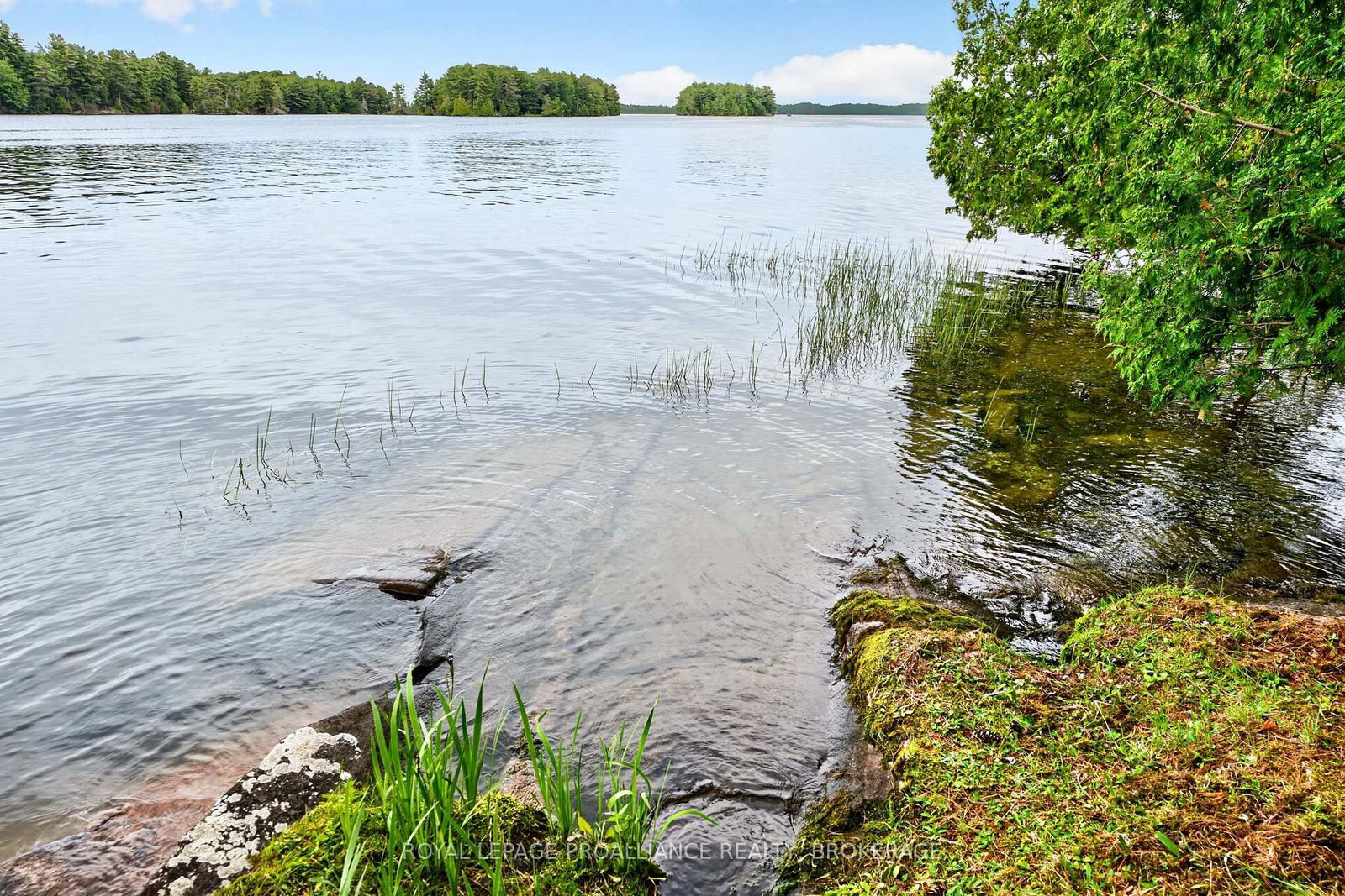 3 Scott Island • Rideau Lakes, ON photo 11