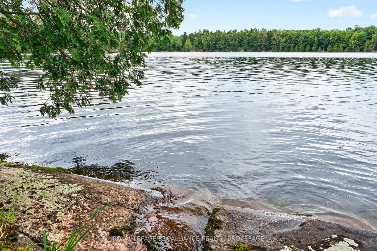 3 Scott Island • Rideau Lakes, ON photo 12