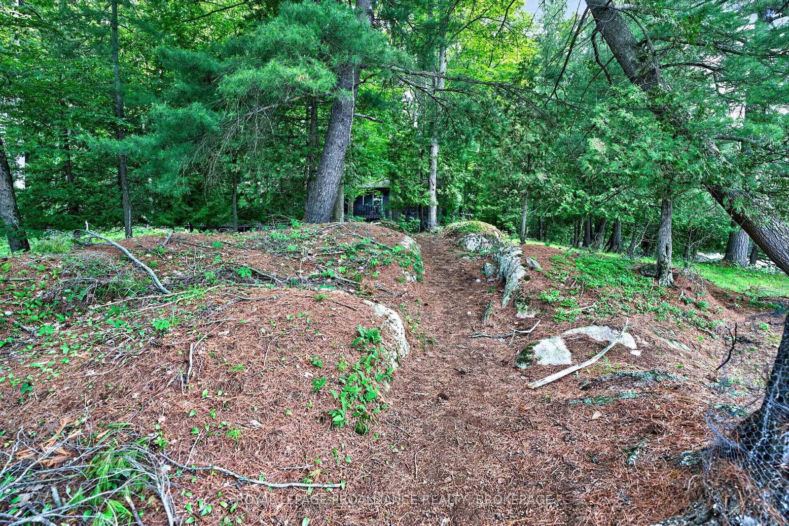 3 Scott Island • Rideau Lakes, ON photo 44