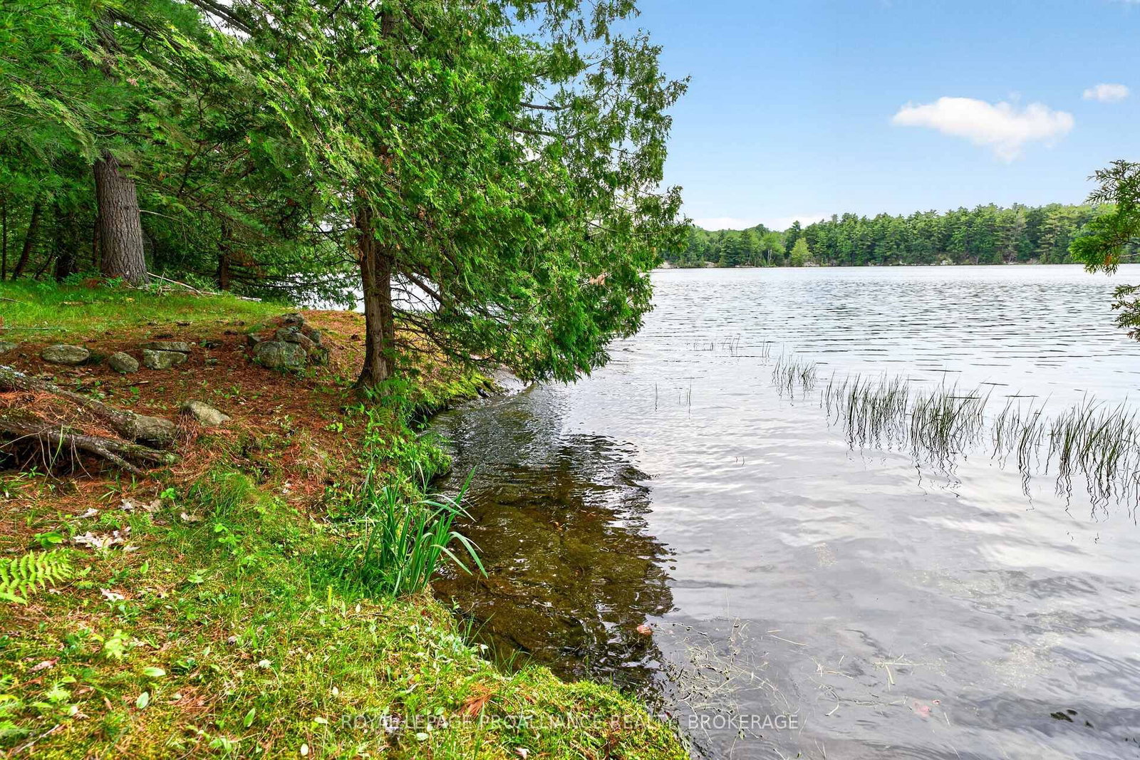 3 Scott Island • Rideau Lakes, ON photo 45