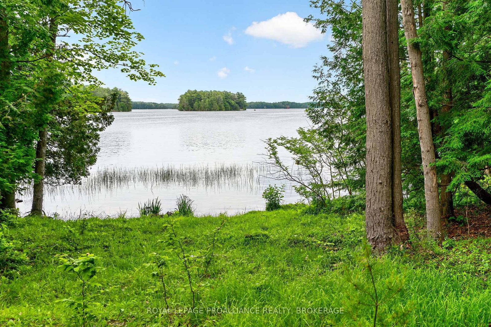 3 Scott Island • Rideau Lakes, ON photo 48