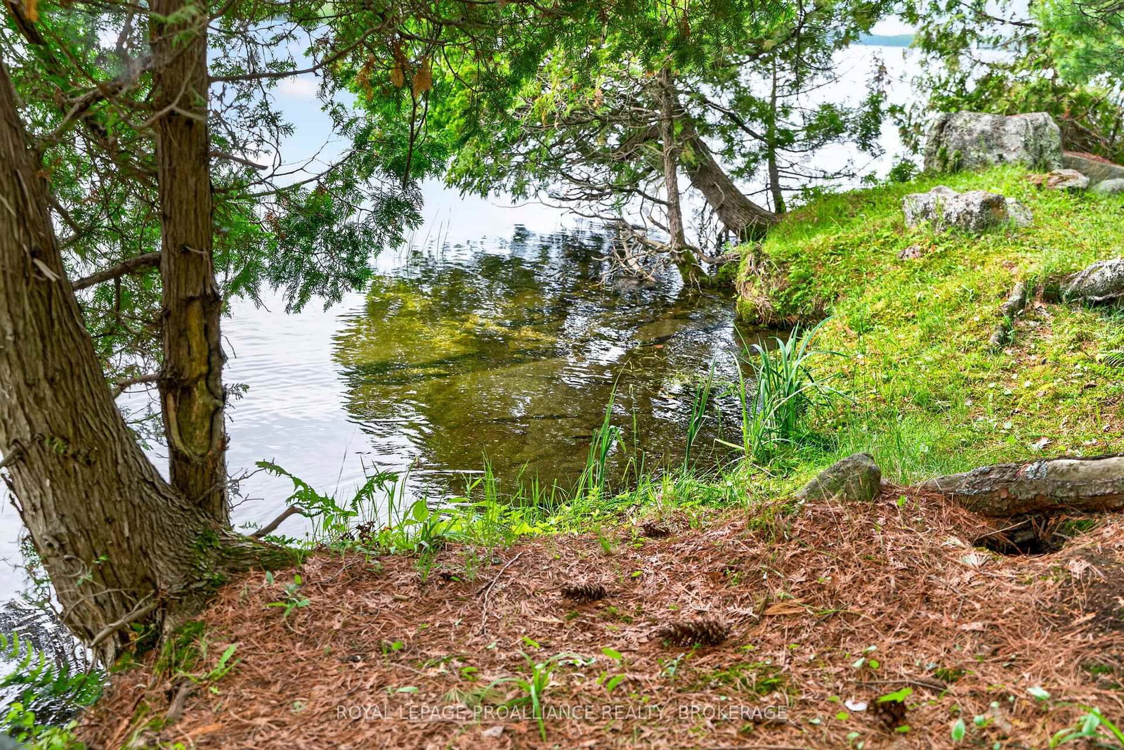 3 Scott Island • Rideau Lakes, ON photo 49