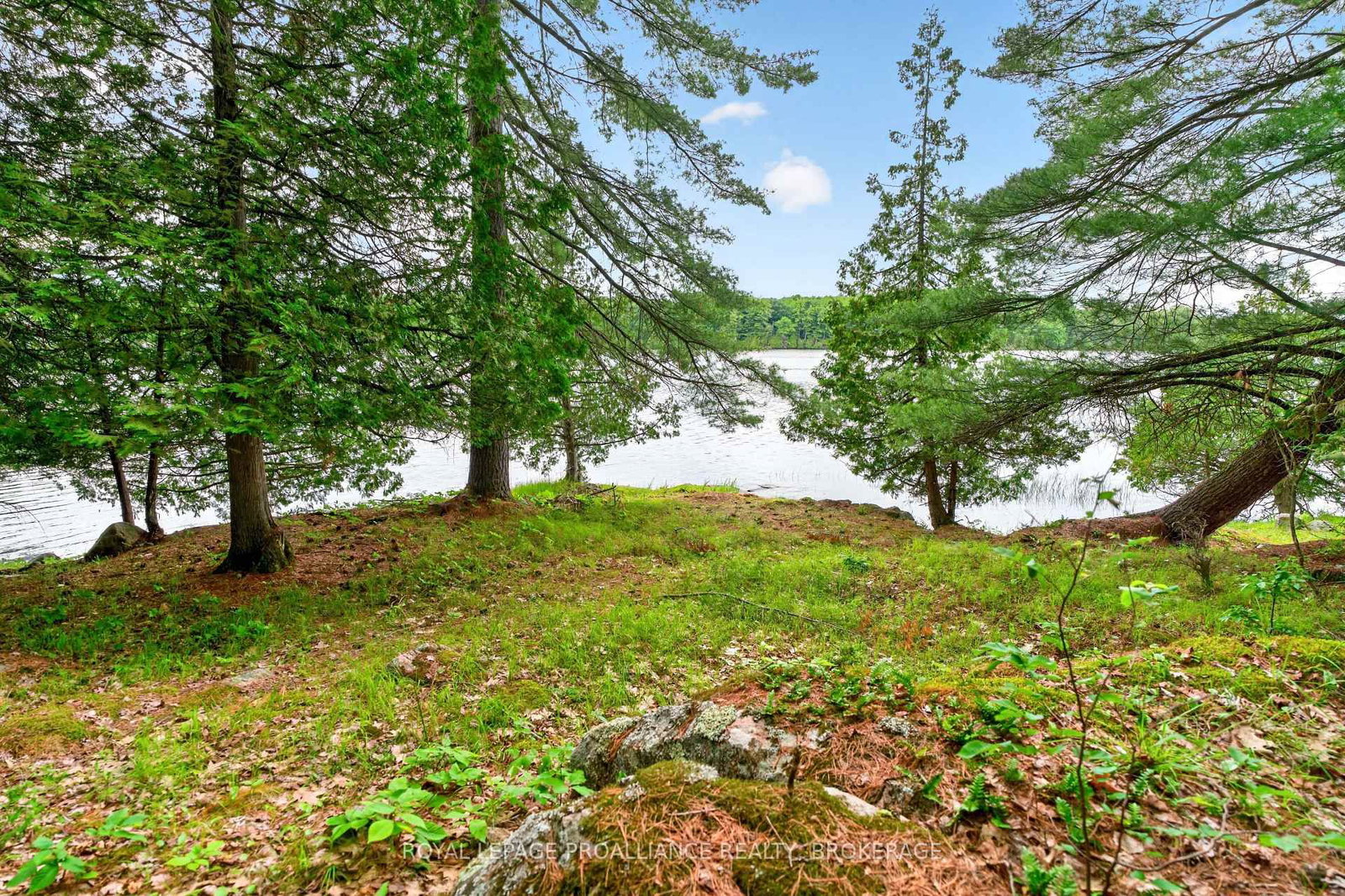 3 Scott Island • Rideau Lakes, ON photo 6