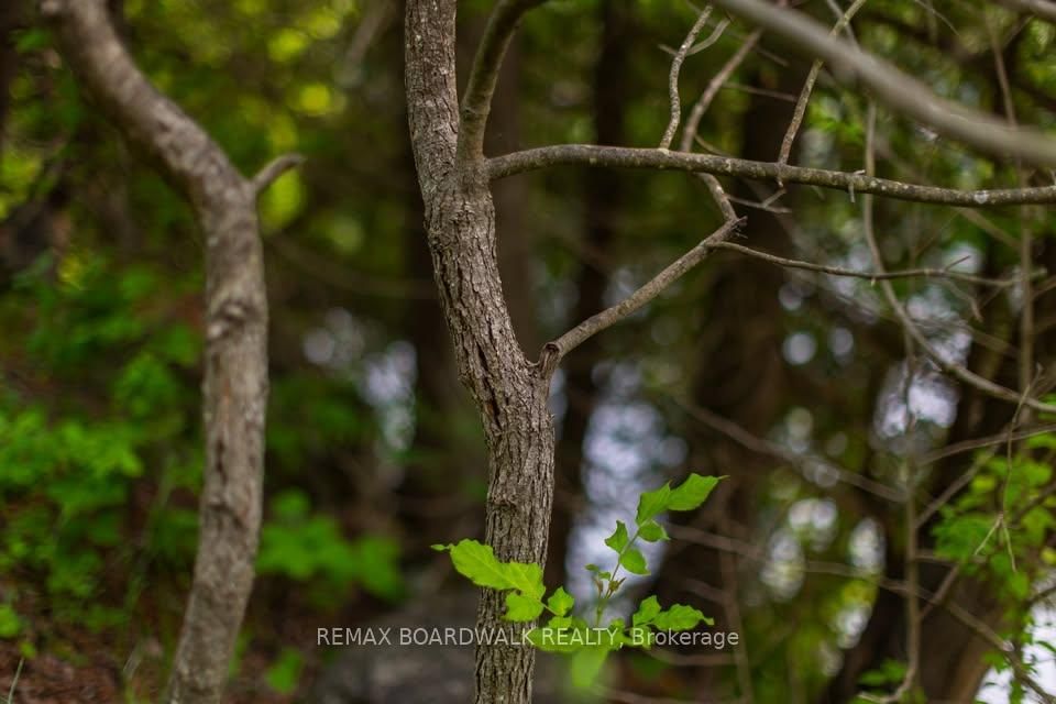 0 Stewart's Island • Balderson, ON photo 5