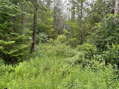 part Lot 2 conc 17 Road