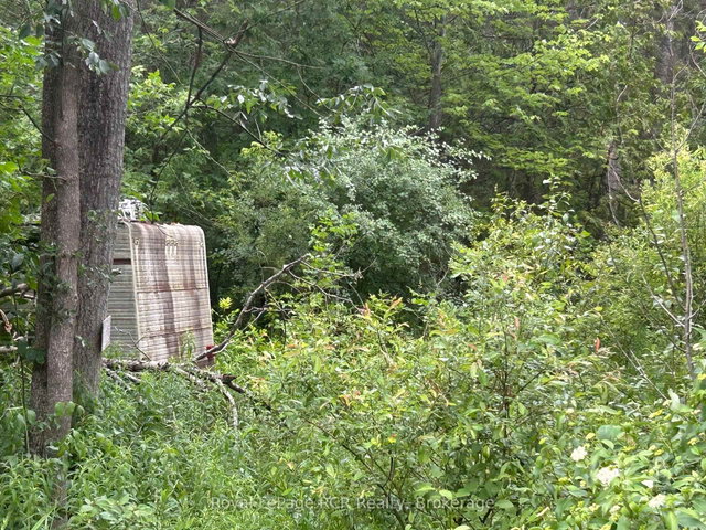 part Lot 2 conc 17 Road