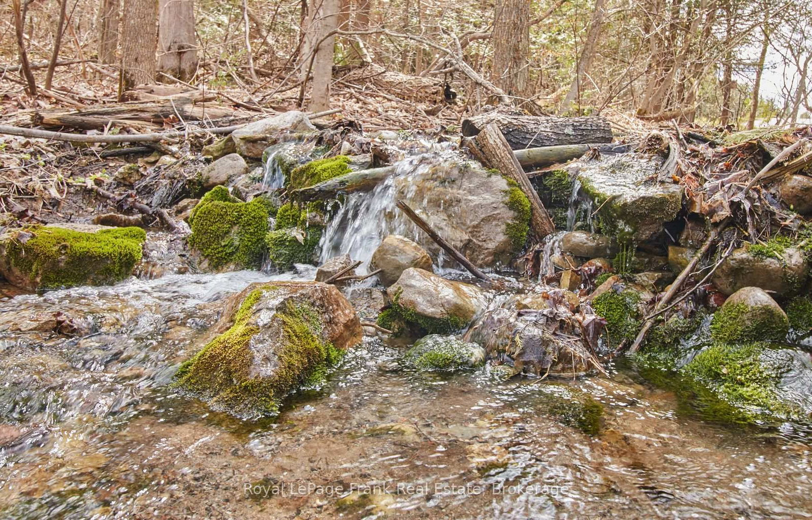 2269 McCracken's Landing Road • Douro-Dummer, ON photo 40