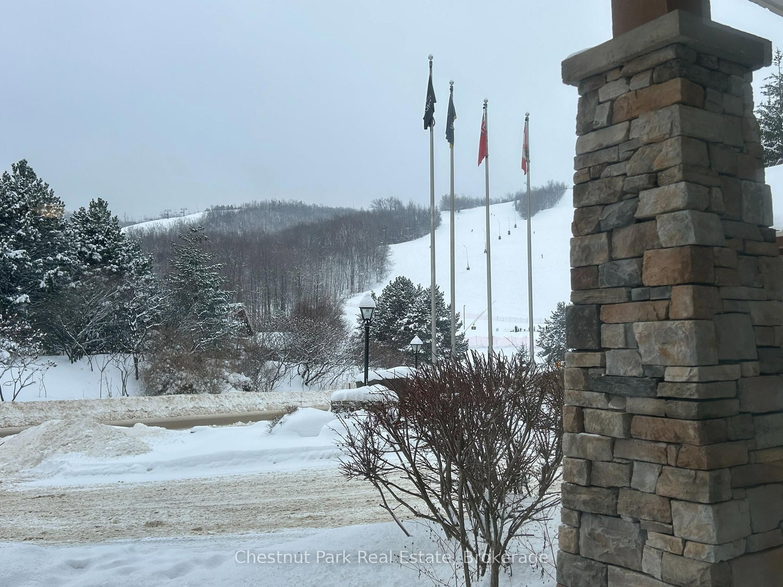 220 Gord Canning Drive • #157 • Blue Mountains, ON photo 35