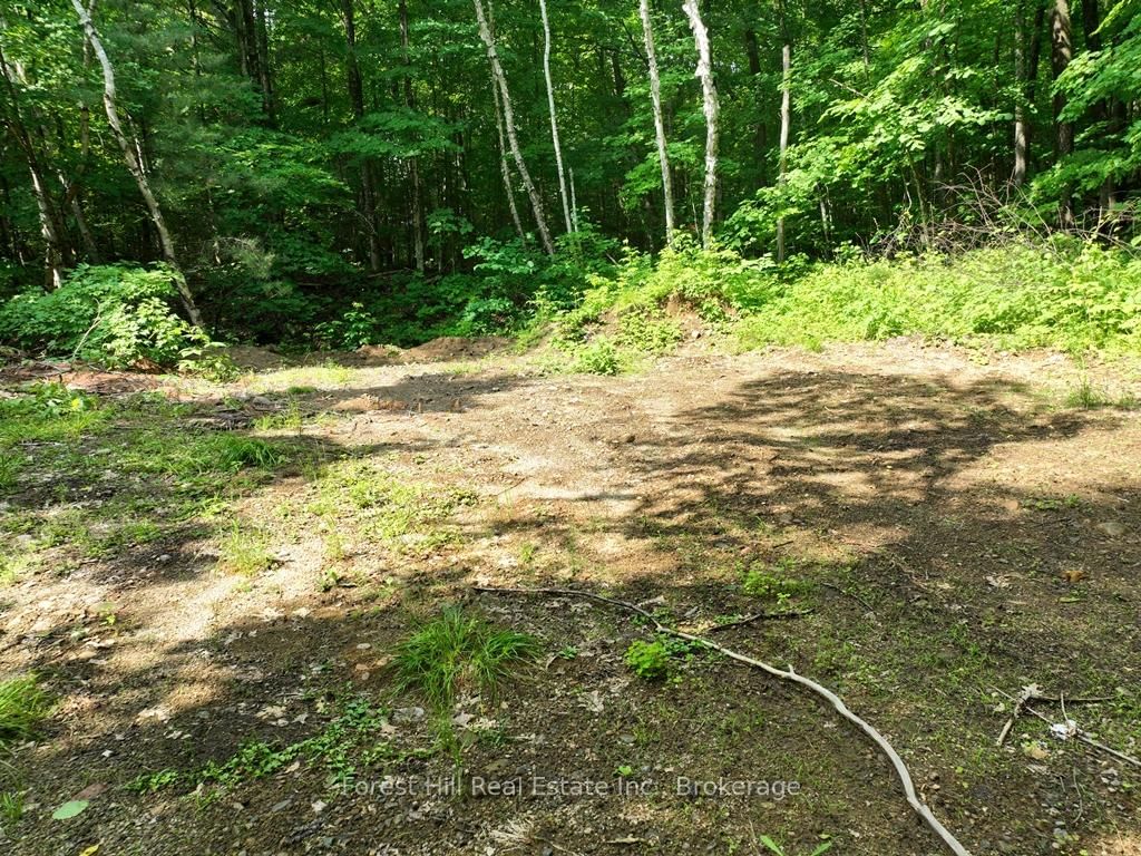 Listing Image 37