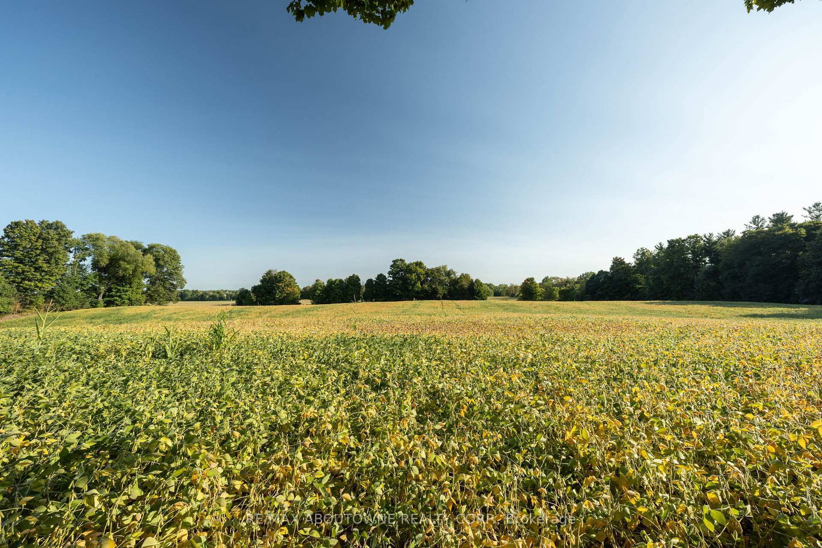 3276 Governors Road • Hamilton, ON photo 48