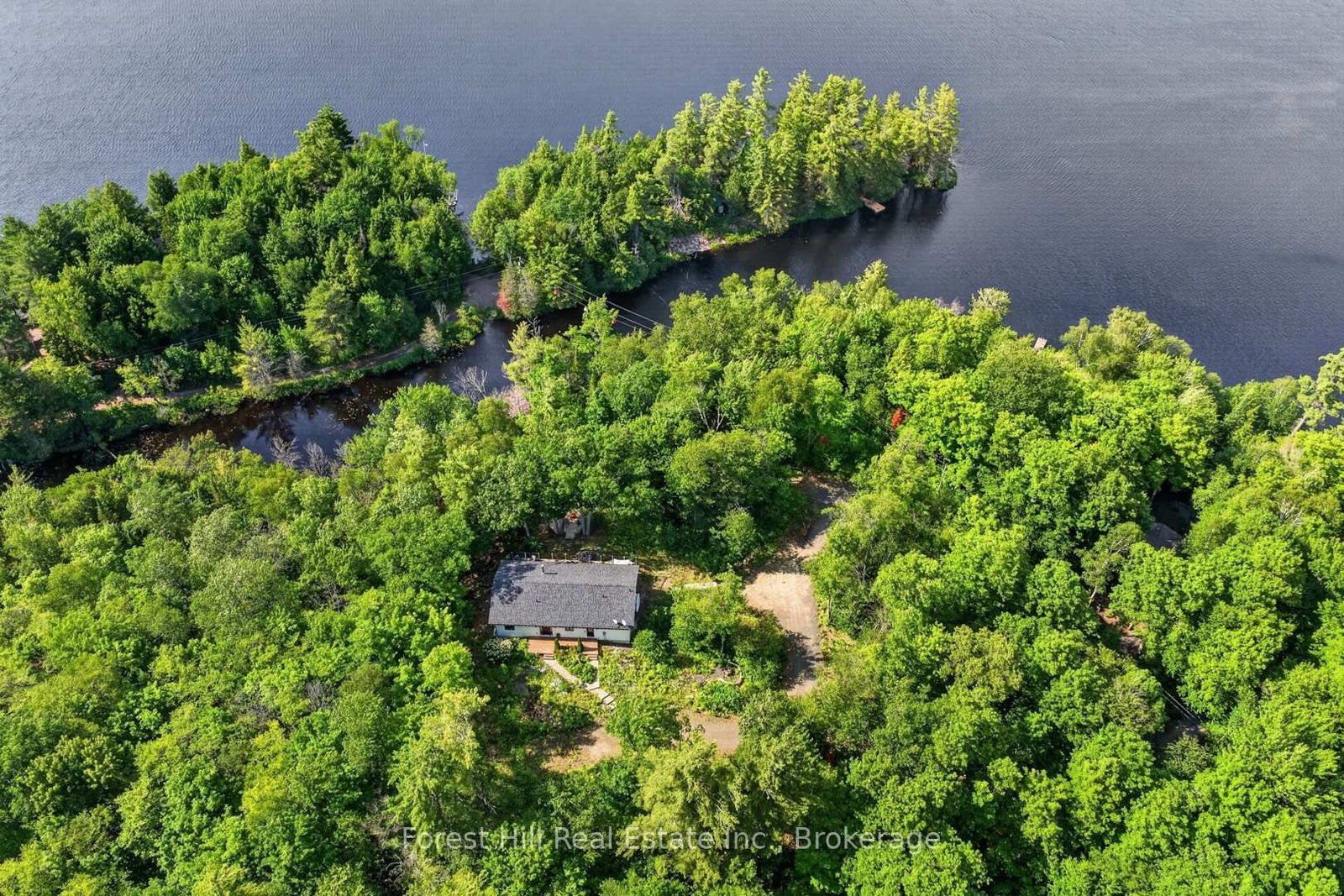 1065 Pine Lane S • Lake of Bays, ON photo 1
