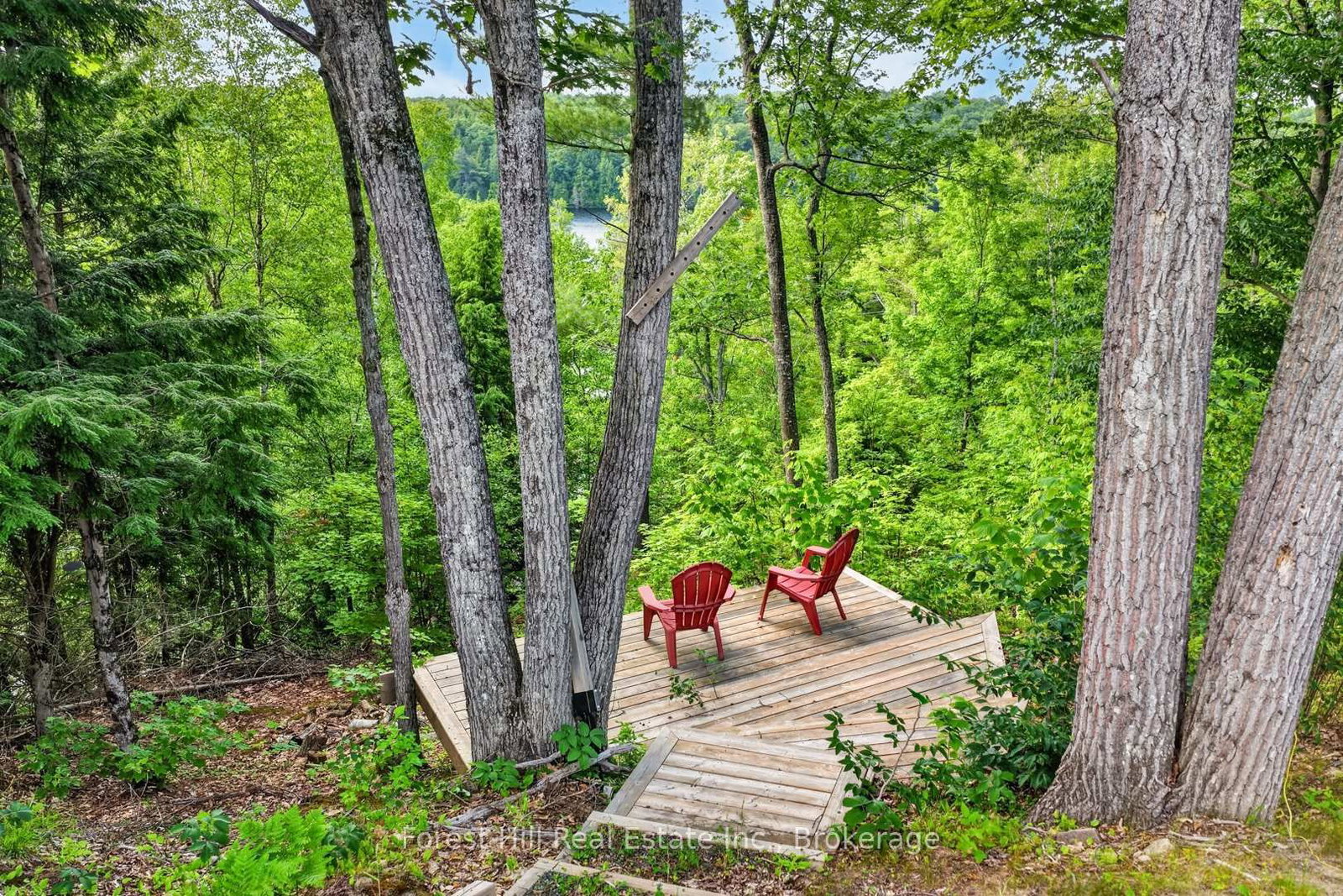 1065 Pine Lane S • Lake of Bays, ON photo 37