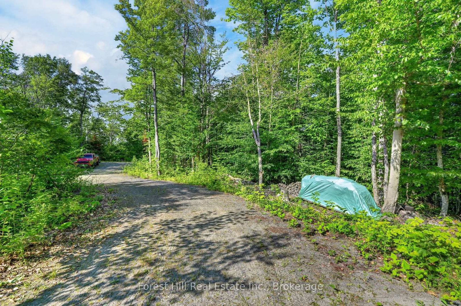 1065 Pine Lane S • Lake of Bays, ON photo 39