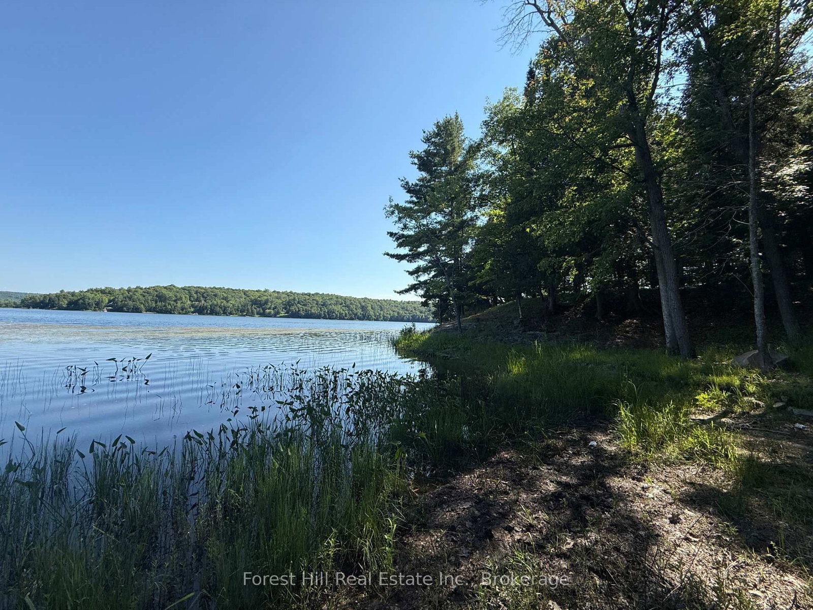 935 Limberlost Point Road • Parry Sound Remote Area, ON photo 45