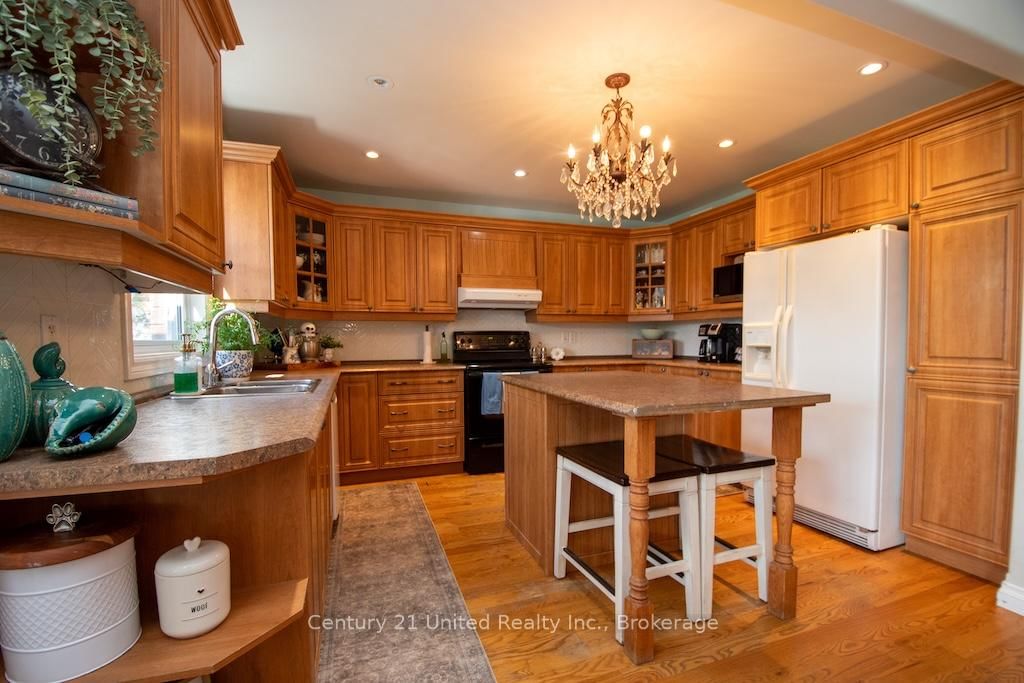 50 Bay Street • Trent Hills, ON photo 13
