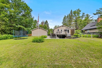 31 River Street • North Kawartha, ON photo 9