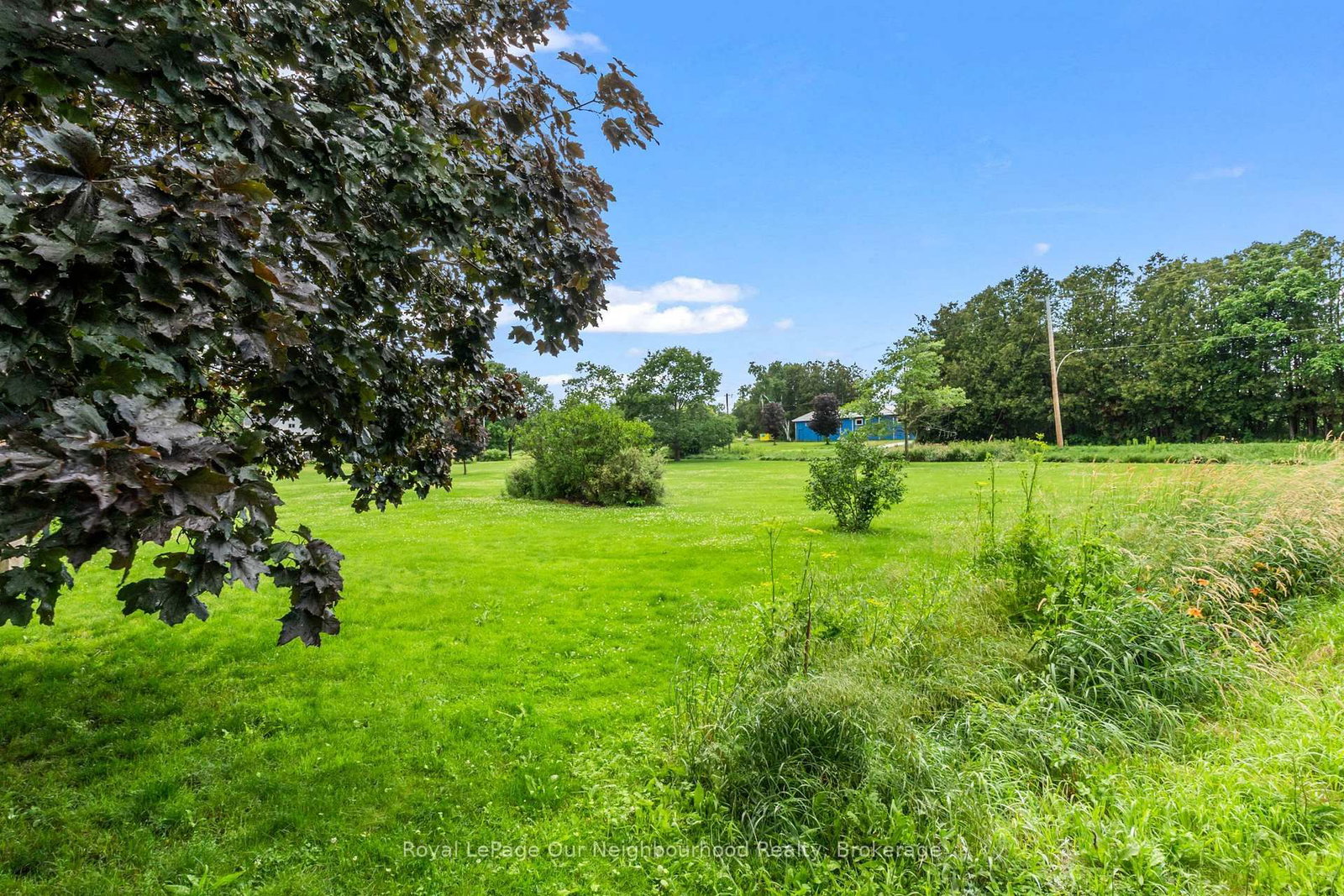 6 Douglas Street • Trent Hills, ON photo 29