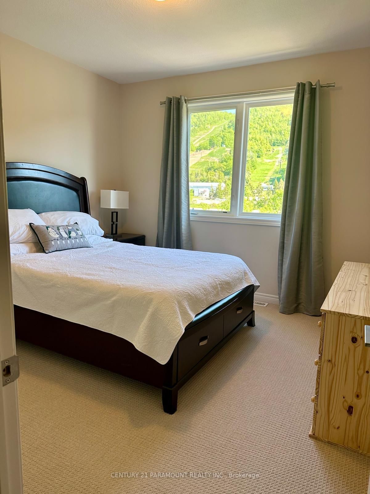 120 Delphi Lane • Blue Mountains, ON photo 9
