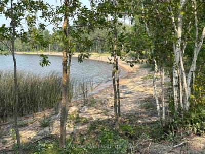61 PENTNEY LANE • Lake of the Woods, ON photo 2
