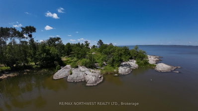 61 PENTNEY LANE • Lake of the Woods, ON photo 3