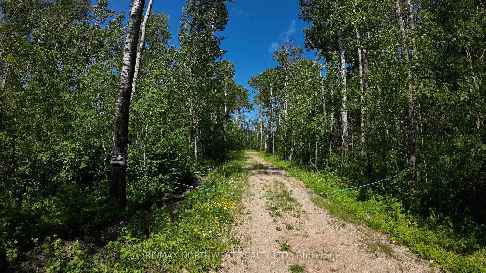 61 PENTNEY LANE • Lake of the Woods, ON photo 32