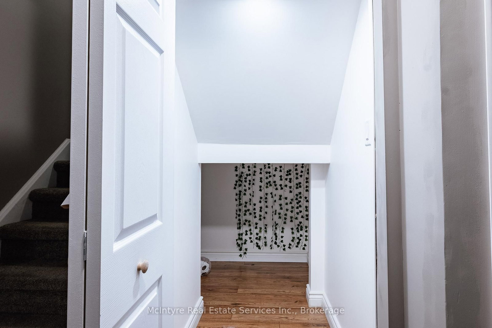171 McNichol Drive • Cambridge, ON photo 39