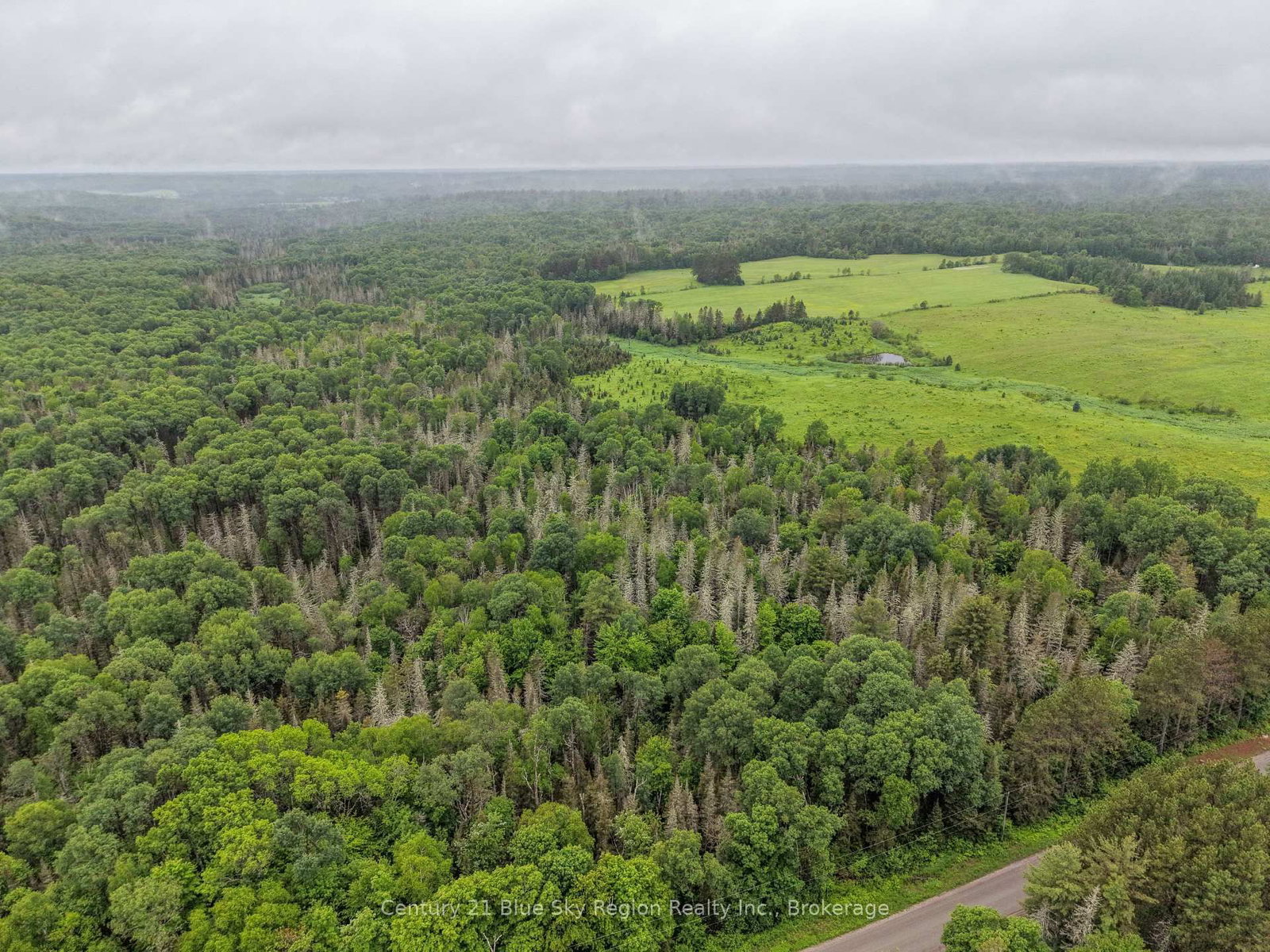 0 CON 12 PT LOT 11 PEARCELEY Road • Magnetawan, ON photo 11
