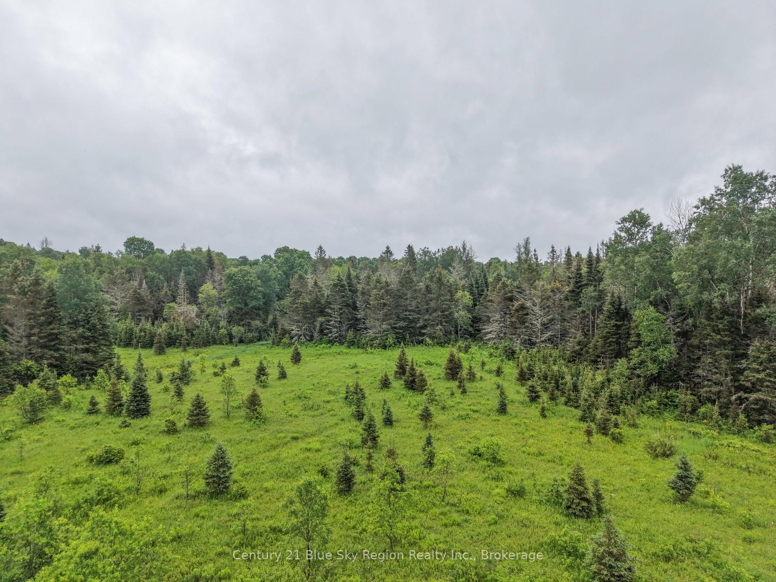 0 CON 12 PT LOT 11 PEARCELEY Road • Magnetawan, ON photo 18
