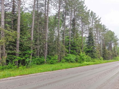 0 CON 12 PT LOT 11 PEARCELEY Road • Magnetawan, ON photo 2