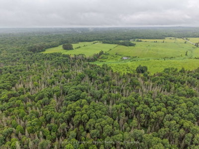 0 CON 12 PT LOT 11 PEARCELEY Road • Magnetawan, ON photo 8