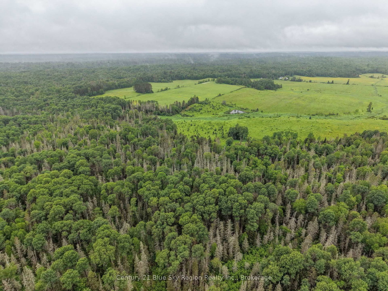 0 CON 12 PT LOT 11 PEARCELEY Road • Magnetawan, ON photo 9