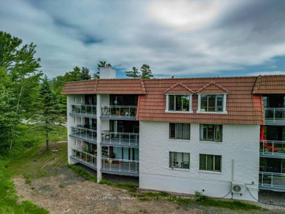 20 Ryder Drive • #3A • McDougall, ON photo 4