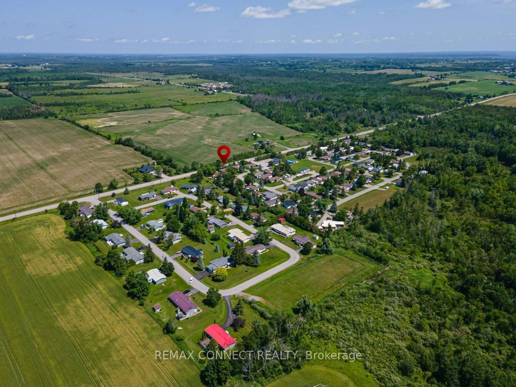 8 Circle Drive • Kawartha Lakes, ON photo 49