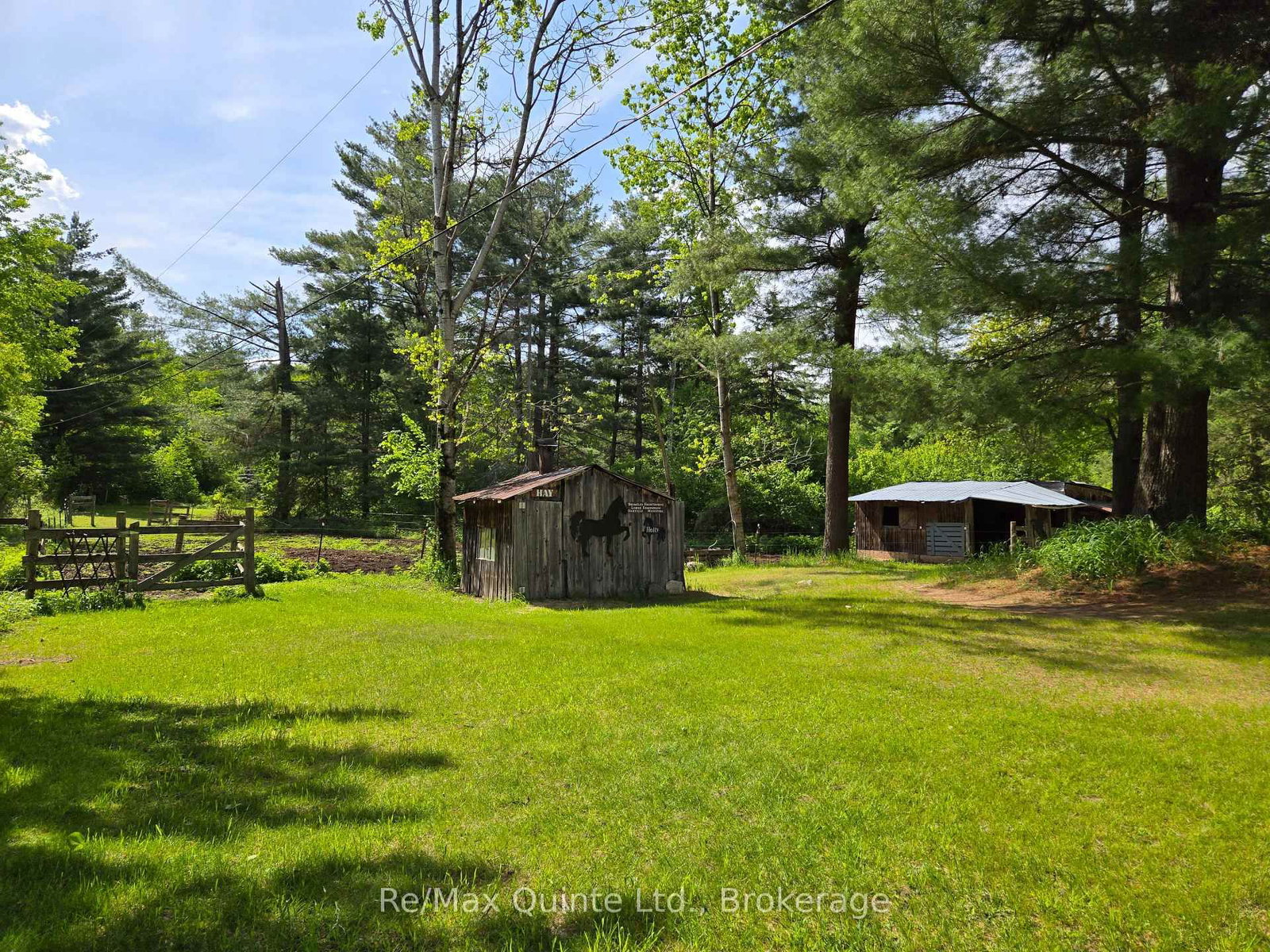 690 Potter Settlement Road • Tweed, ON photo 12