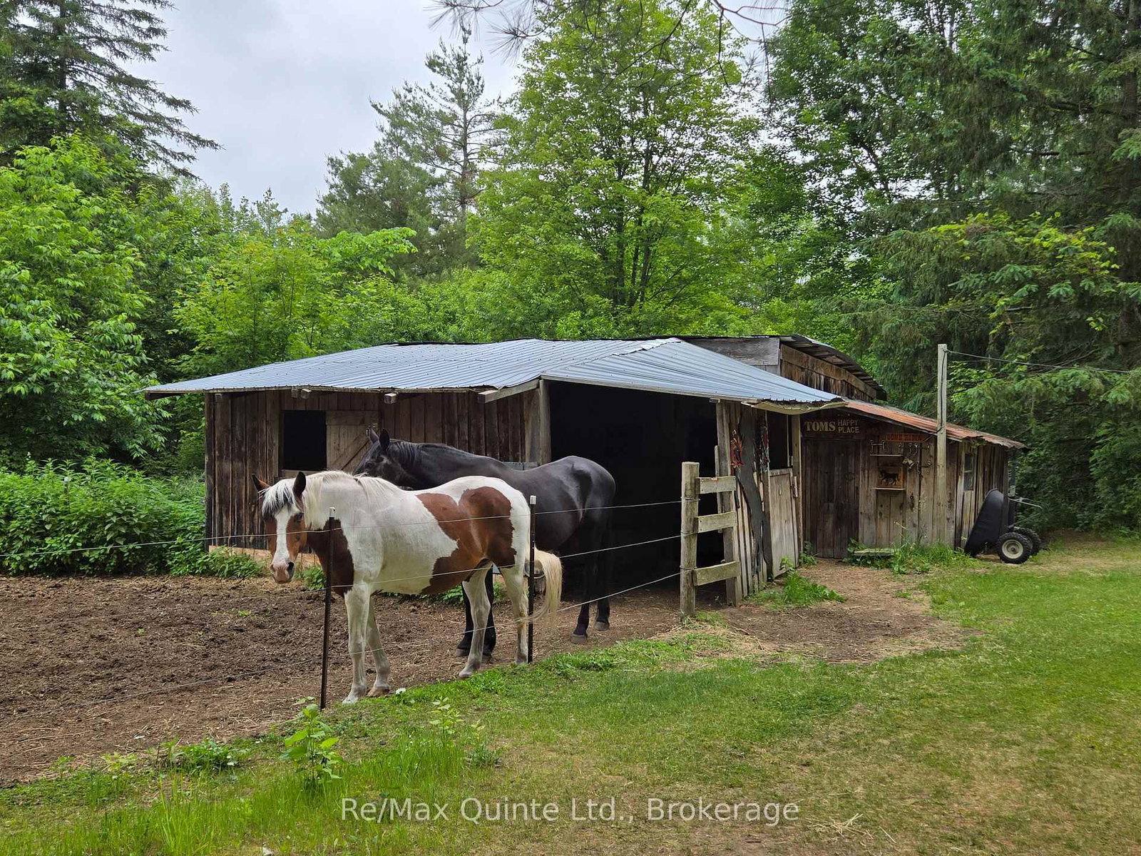 690 Potter Settlement Road • Tweed, ON photo 13