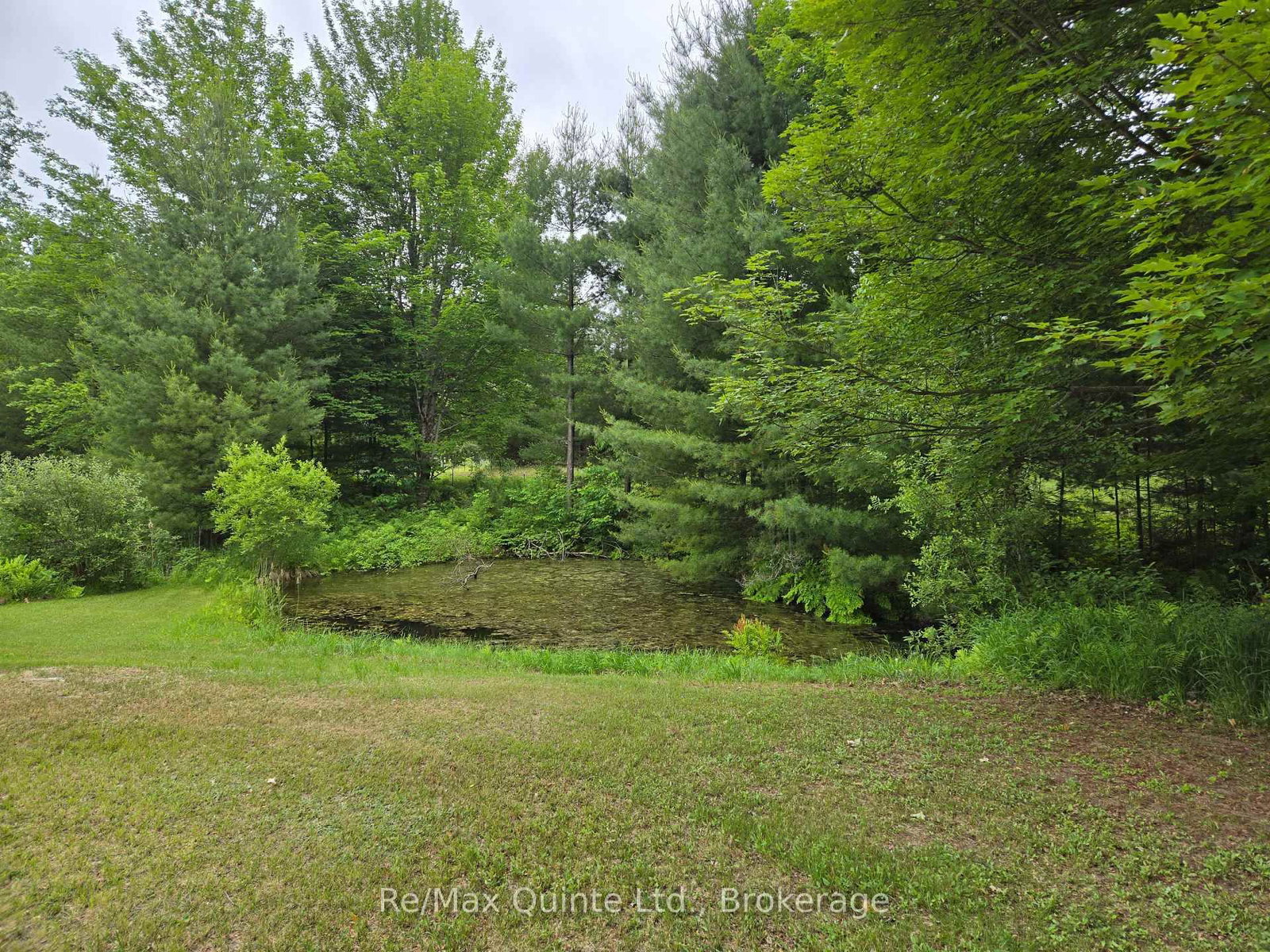690 Potter Settlement Road • Tweed, ON photo 5