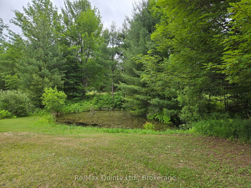 690 Potter Settlement Rd photo 5