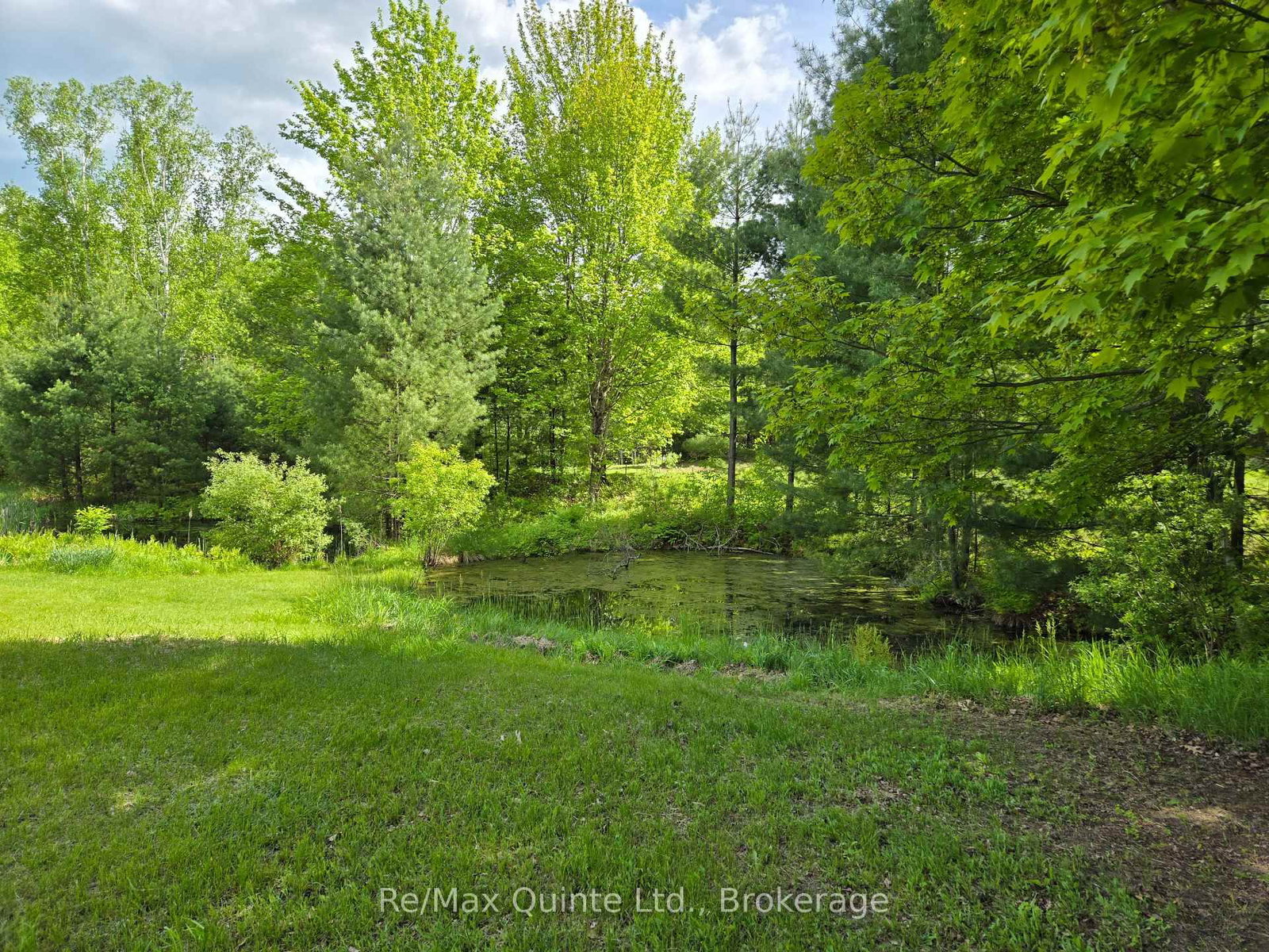690 Potter Settlement Road • Tweed, ON photo 6