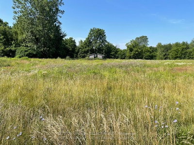 Vacant Land for sale at 180 Jane Street, West Elgin, Ontario, N0L 2C0 - Rodney - MLS: X13527650