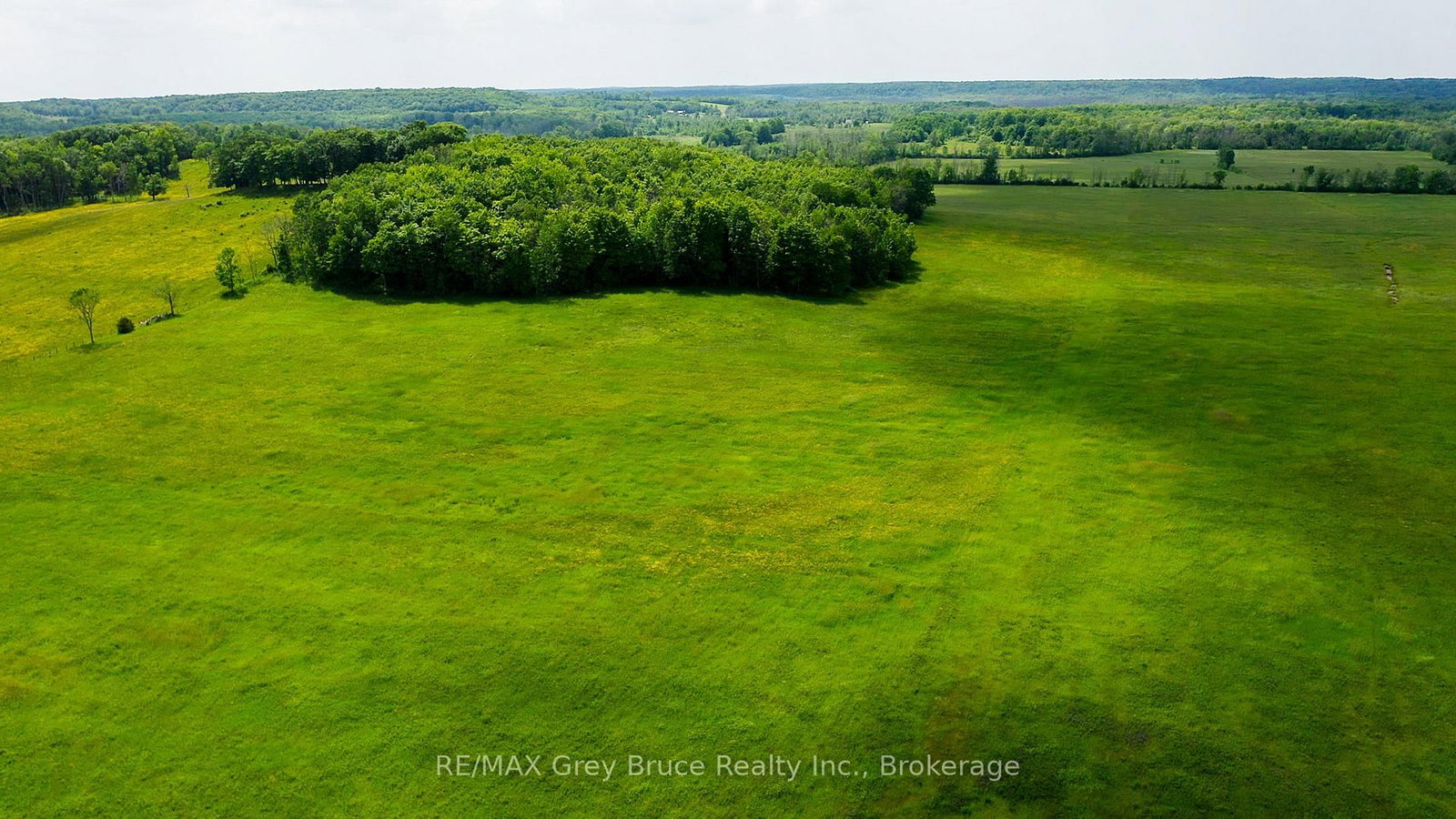319144 Grey Road 1 • Georgian Bluffs, ON photo 41