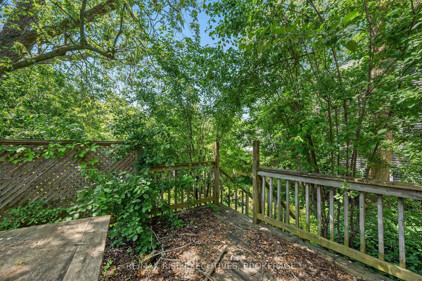 690 Johnson Street • Kingston, ON photo 7