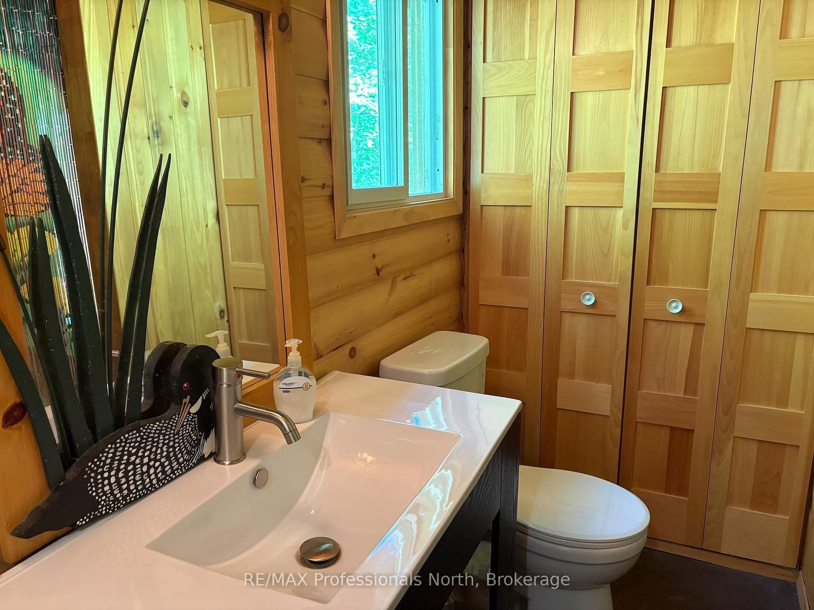 10597 Black Lake WAO • Minden Hills, ON photo 33