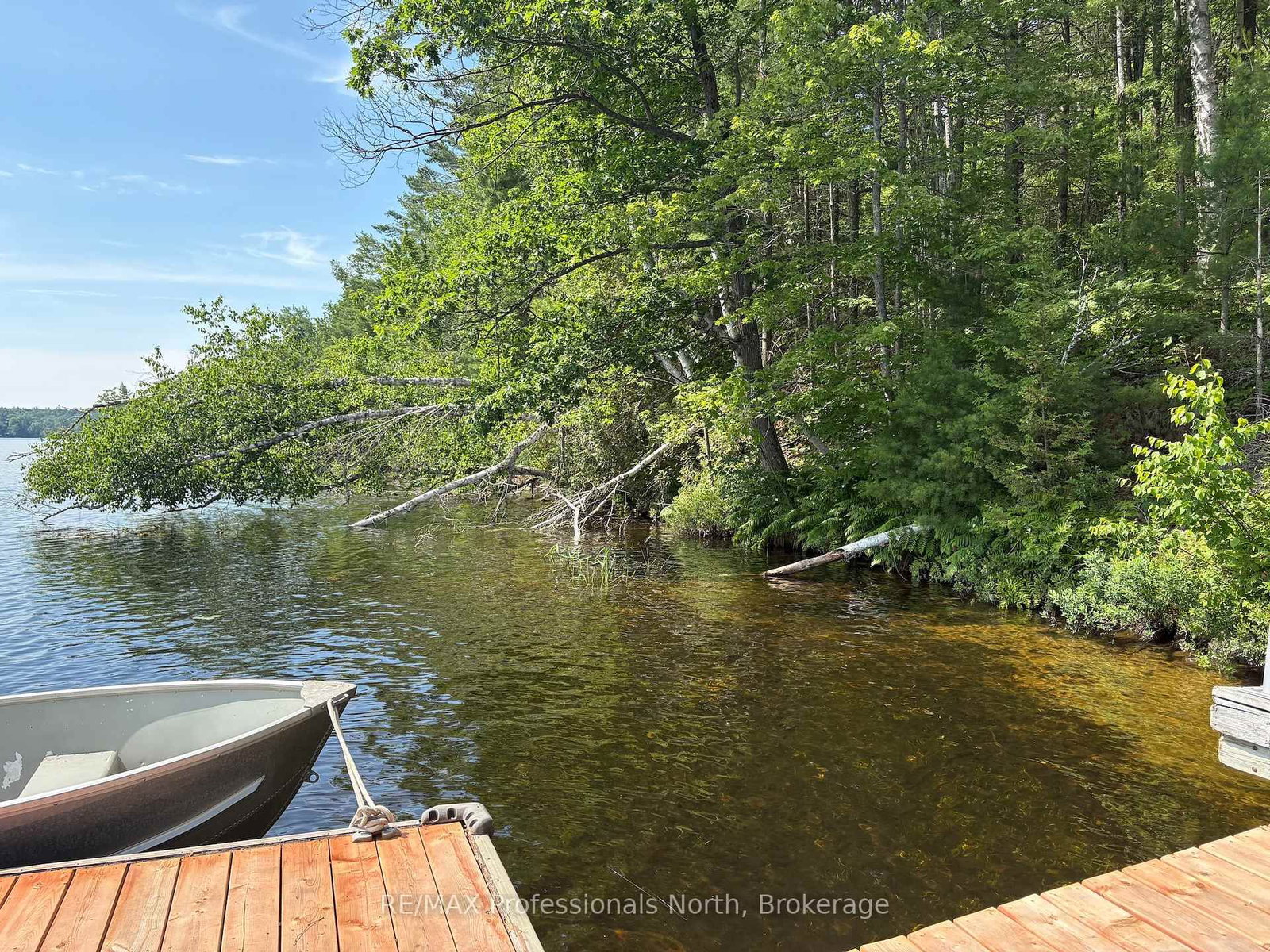 10597 Black Lake WAO • Minden Hills, ON photo 41