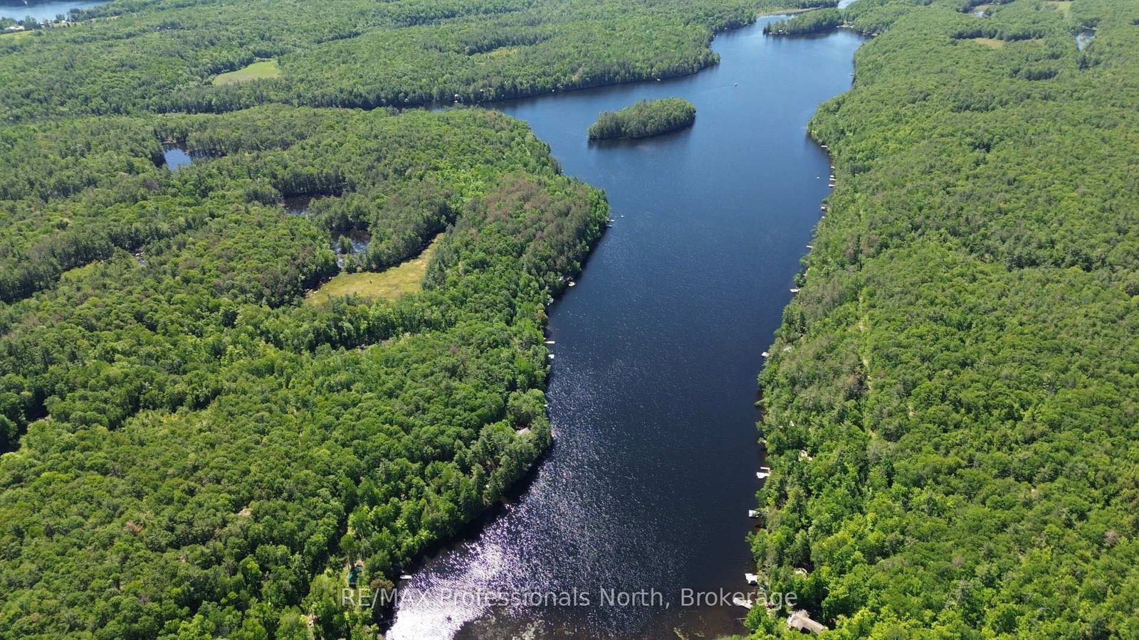 10597 Black Lake WAO • Minden Hills, ON photo 48