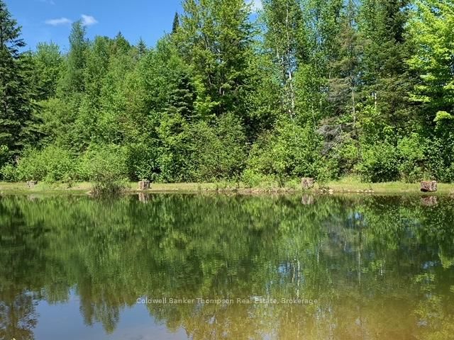 57 Rattray Road • Perry, ON photo 45