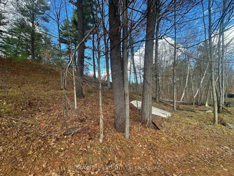 Property Sub 1