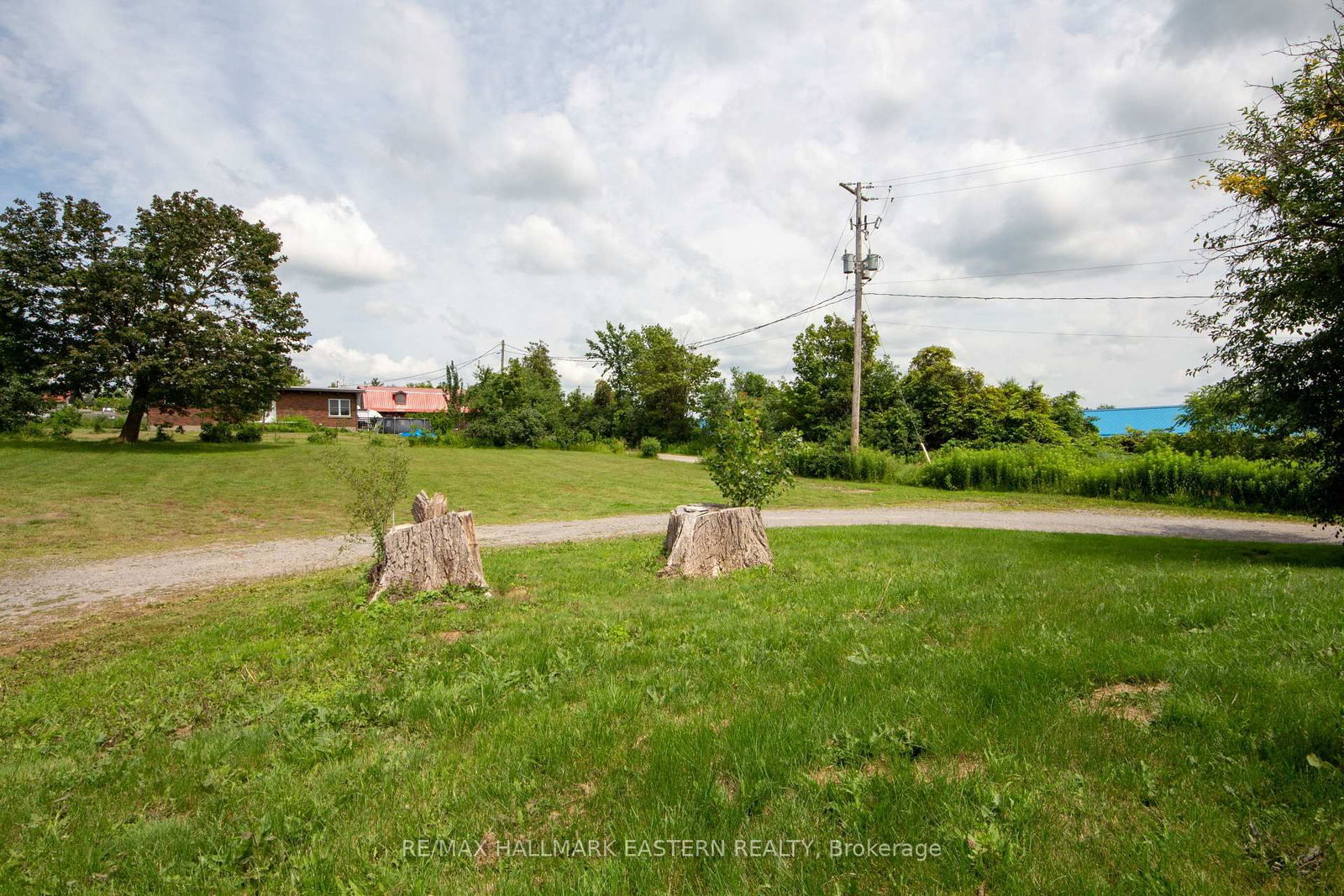 1624 Chemong Road • Selwyn, ON photo 5