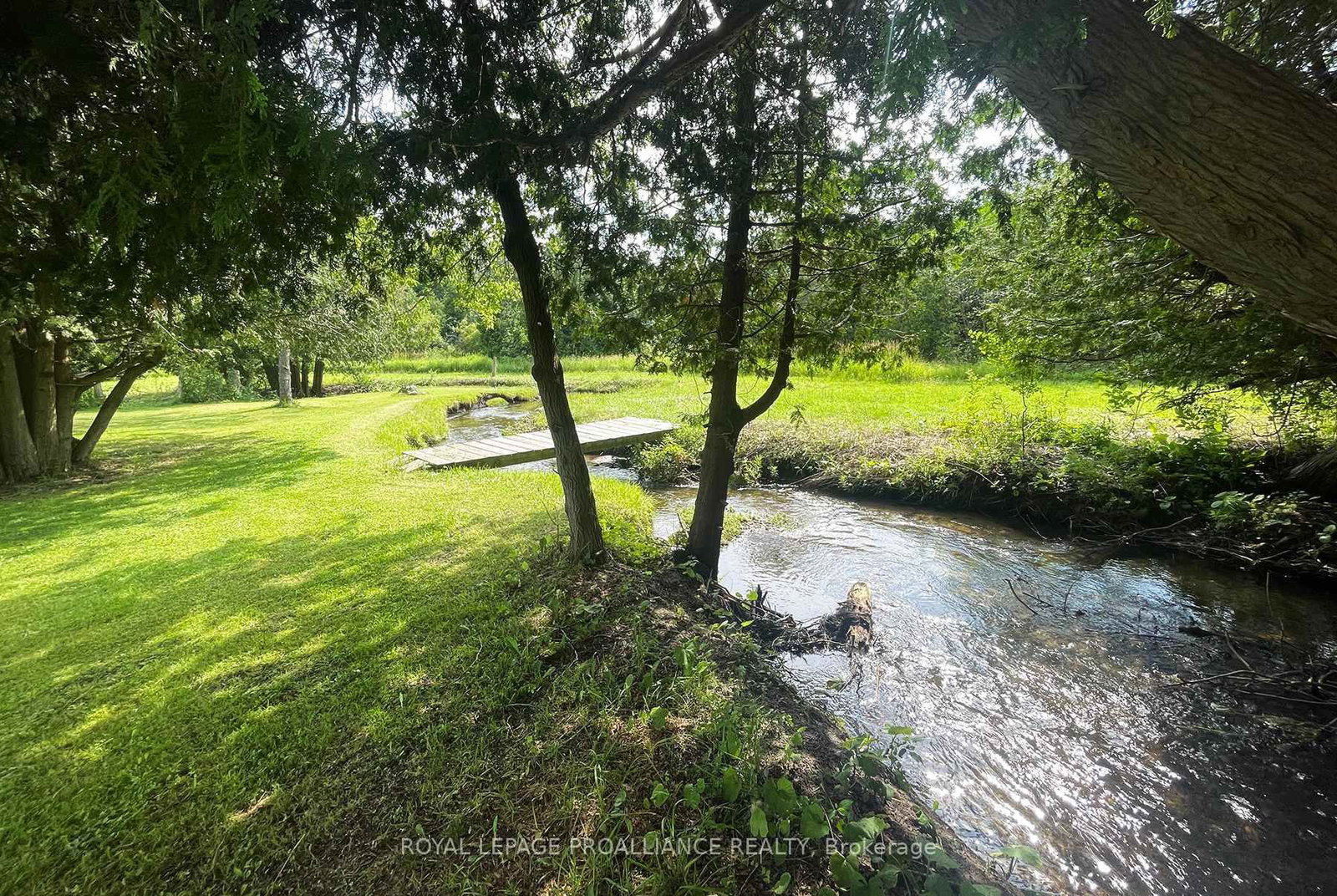 153 Boeve Lane • Alnwick/Haldimand, ON photo 47