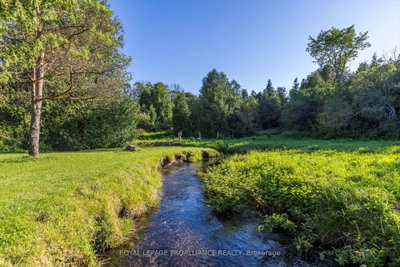 153 Boeve Lane • Alnwick/Haldimand, ON photo 5