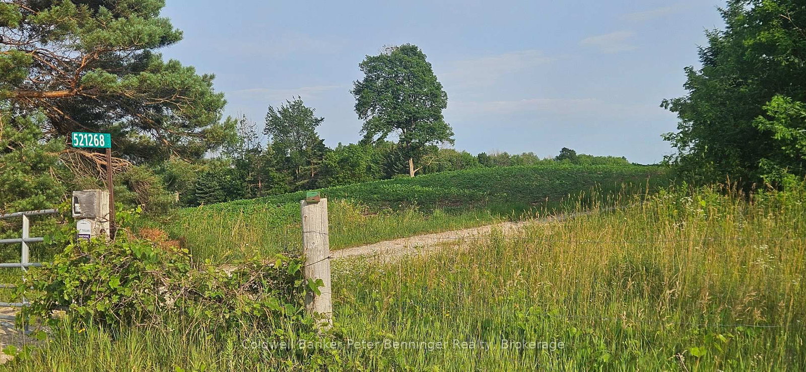 521268 Concession 12 N • West Grey, ON photo 3